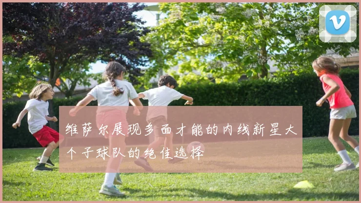 维萨尔展现多面才能的内线新星大个子球队的绝佳选择