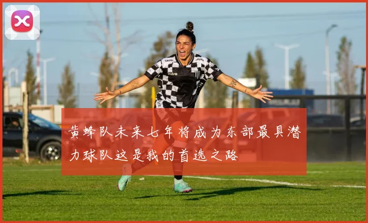 黄蜂队未来七年将成为东部最具潜力球队这是我的首选之路